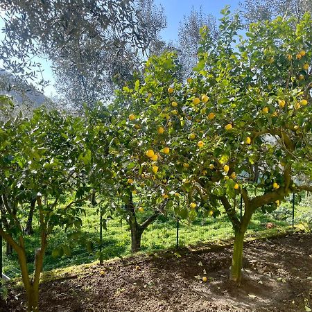 Sorrento Realty Holidays - The Smile Of The Sun Extérieur photo